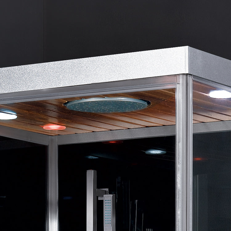 Platinum DZ960 Steam Shower