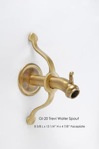 Thumbnail for Trevi Water Spout Spout Tuscan 