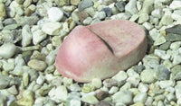 Thumbnail for Campania International Terra cotta Mancini Pot Risers Urn/Planter Campania International 