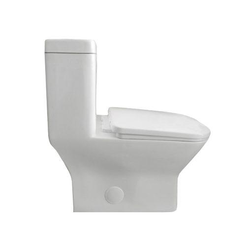 Eviva Storm® Elongated Cotton White One Piece Toilet with Soft Closing Seat Cover, High efficiency, Water Sense & CUPC certified with the united states plumbing standards Toilets Eviva