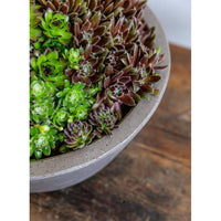 Thumbnail for Campania International Fiber Cement Geo Footed Planter - (S/2) Urn/Planter Campania International