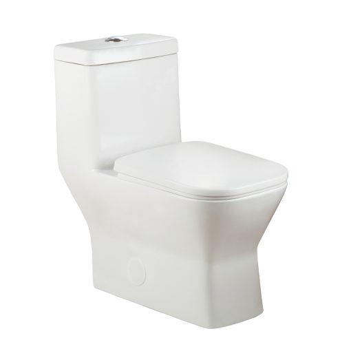 Eviva Storm® Elongated Cotton White One Piece Toilet with Soft Closing Seat Cover, High efficiency, Water Sense & CUPC certified with the united states plumbing standards Toilets Eviva