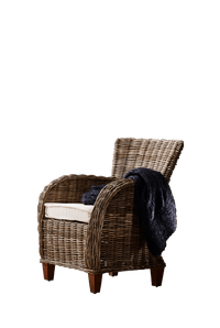 Thumbnail for NovaSolo Baroness Chair with Seat Cushion Chair NovaSolo