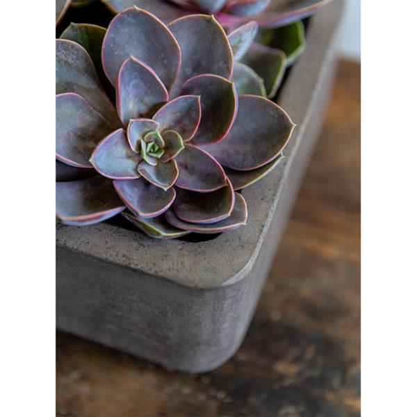 Campania International Fiber Cement Geo Footed Planter - (S/2) Urn/Planter Campania International