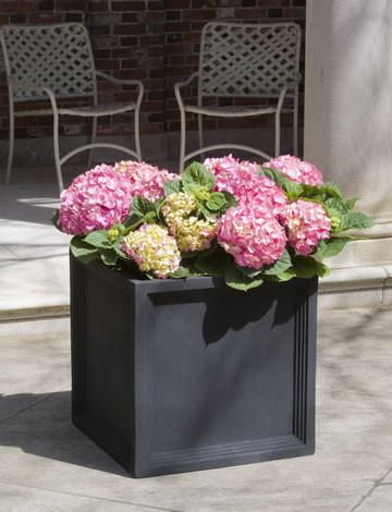Campania International Fiber Clay Med Sandhurst Sq Plntr Urn/Planter Campania International