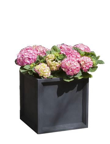 Campania International Fiber Clay Med Sandhurst Sq Plntr Urn/Planter Campania International