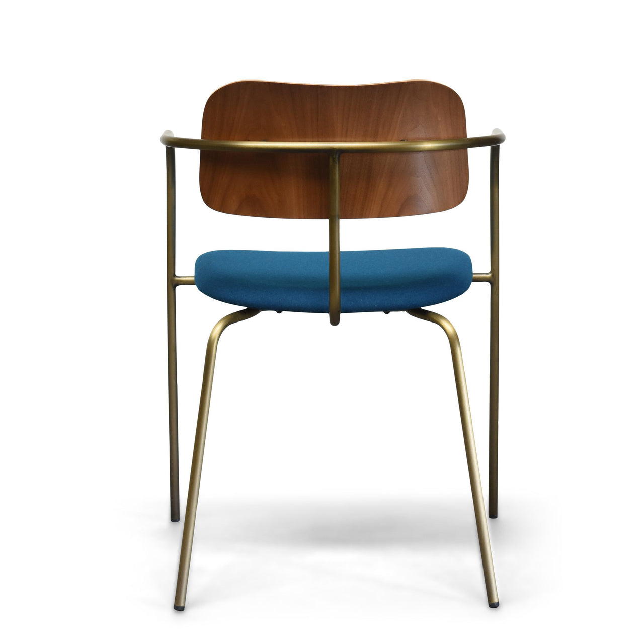 Cameron Modern Dining Chair with Walnut Veneer for Kitchen, Living Room and Dining Room (Set of 2,Upholstered Seat ) Dining Chair Gingko