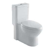 Thumbnail for ARIEL Royal CO-1037 Toilet with Dual Flush Toilets ARIEL