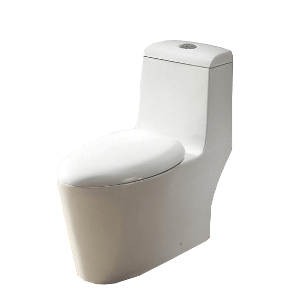 ARIEL Royal CO-1042 Toilet with Dual Flush Toilets ARIEL 