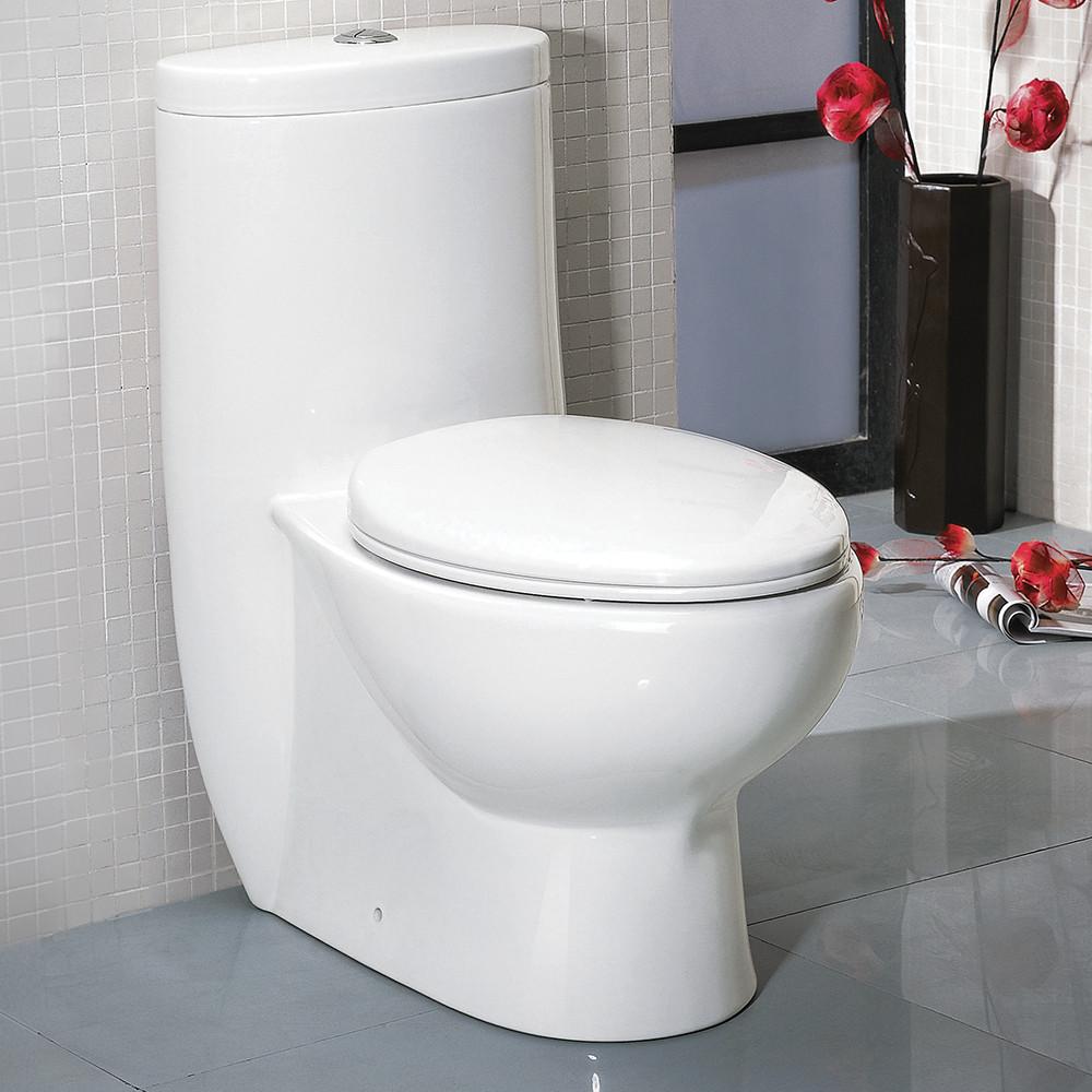 Fresca Delphinus One-Piece Dual Flush Toilet w/ Soft Close Seat Toilets Fresca