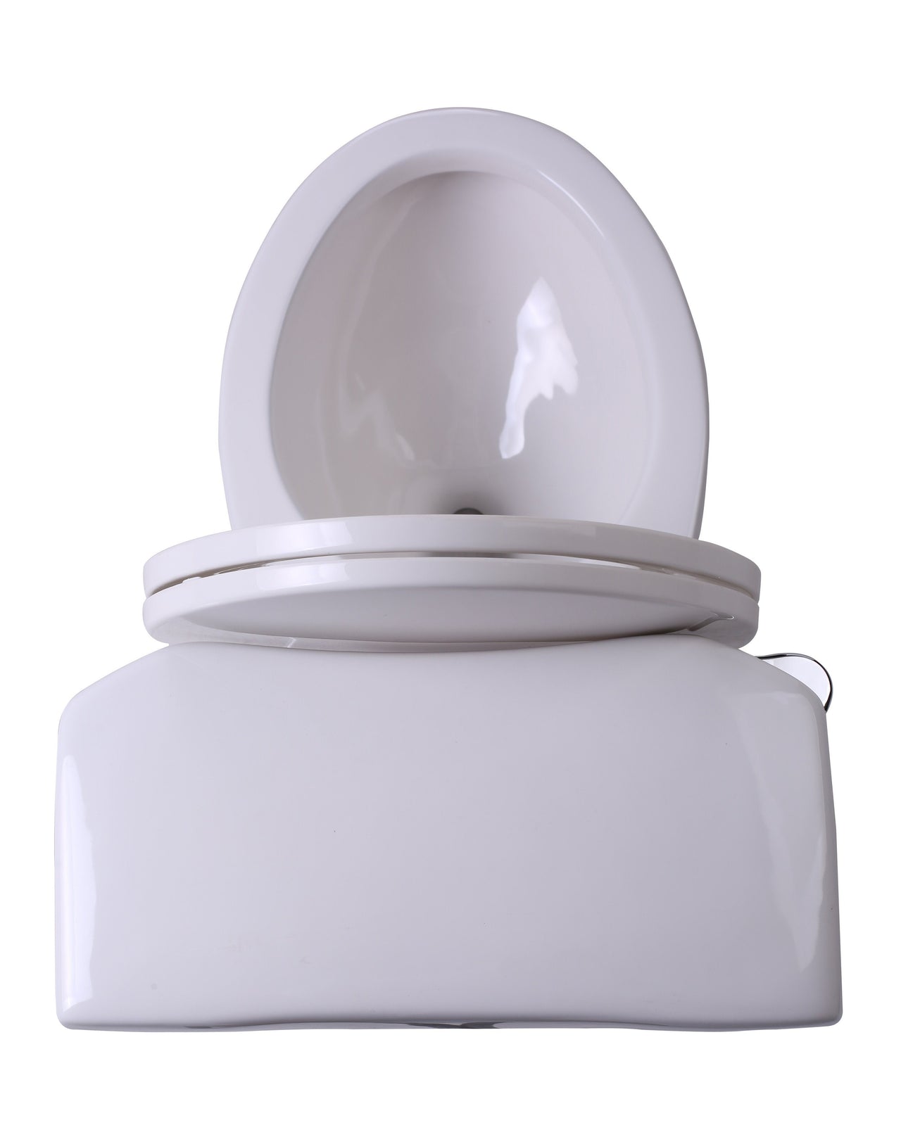 ANZZI Kame T1-AZ055 Toilets Toilets ANZZI
