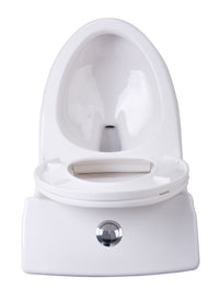 Thumbnail for ANZZI Odin T1-AZ056 Toilets Toilets ANZZI