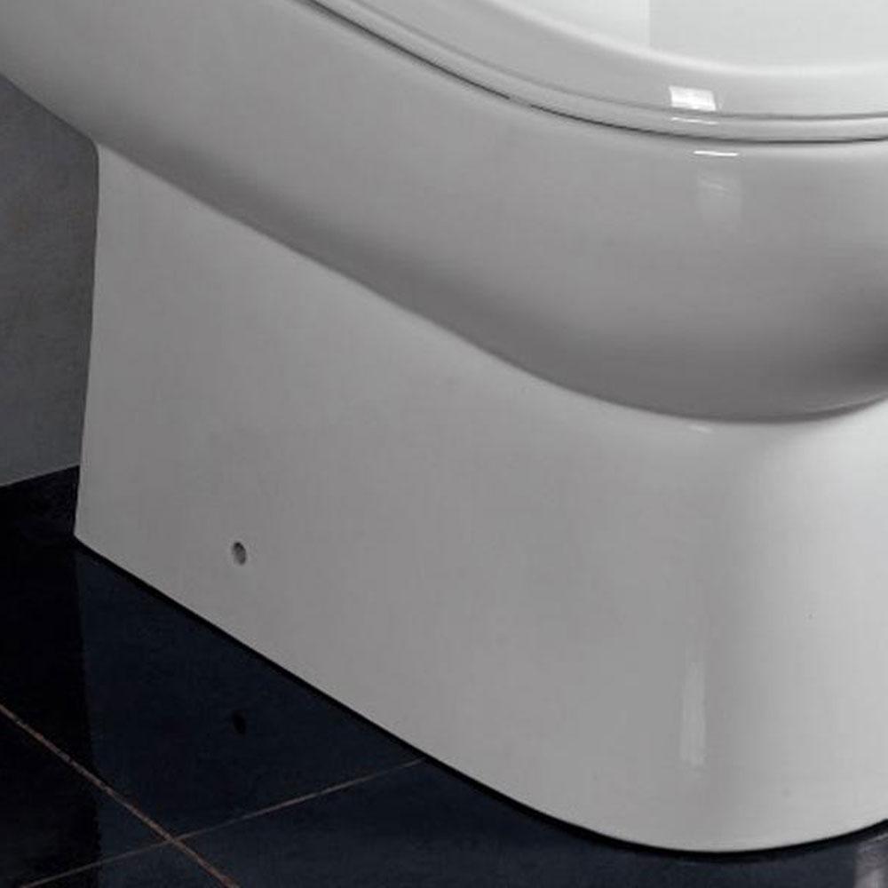 ARIEL Platinum TB351M 'Camilla' Toilet with Dual Flush Toilets ARIEL