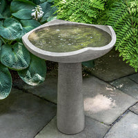 Thumbnail for Campania International Oslo Birdbath, Medium Stone Series Campania International 