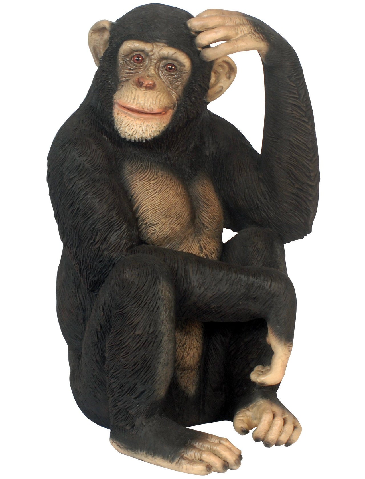 AFD Chimpanzee Statuary AFD Multi-Colored 
