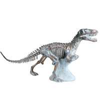 Thumbnail for AFD Dinosaur Skelton Décor AFD White 