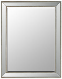 Thumbnail for AFD Brushed Spectrum Mirror 20X24 Antique Silver Mirrors AFD Multi-Colored 