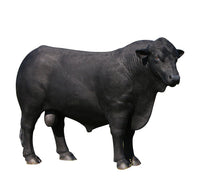 Thumbnail for AFD Black Angus Bull Statuary AFD Multi-Colored 