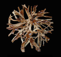 Thumbnail for AFD Teak Root Architectural Piece with Stand B Décor AFD TEAK 