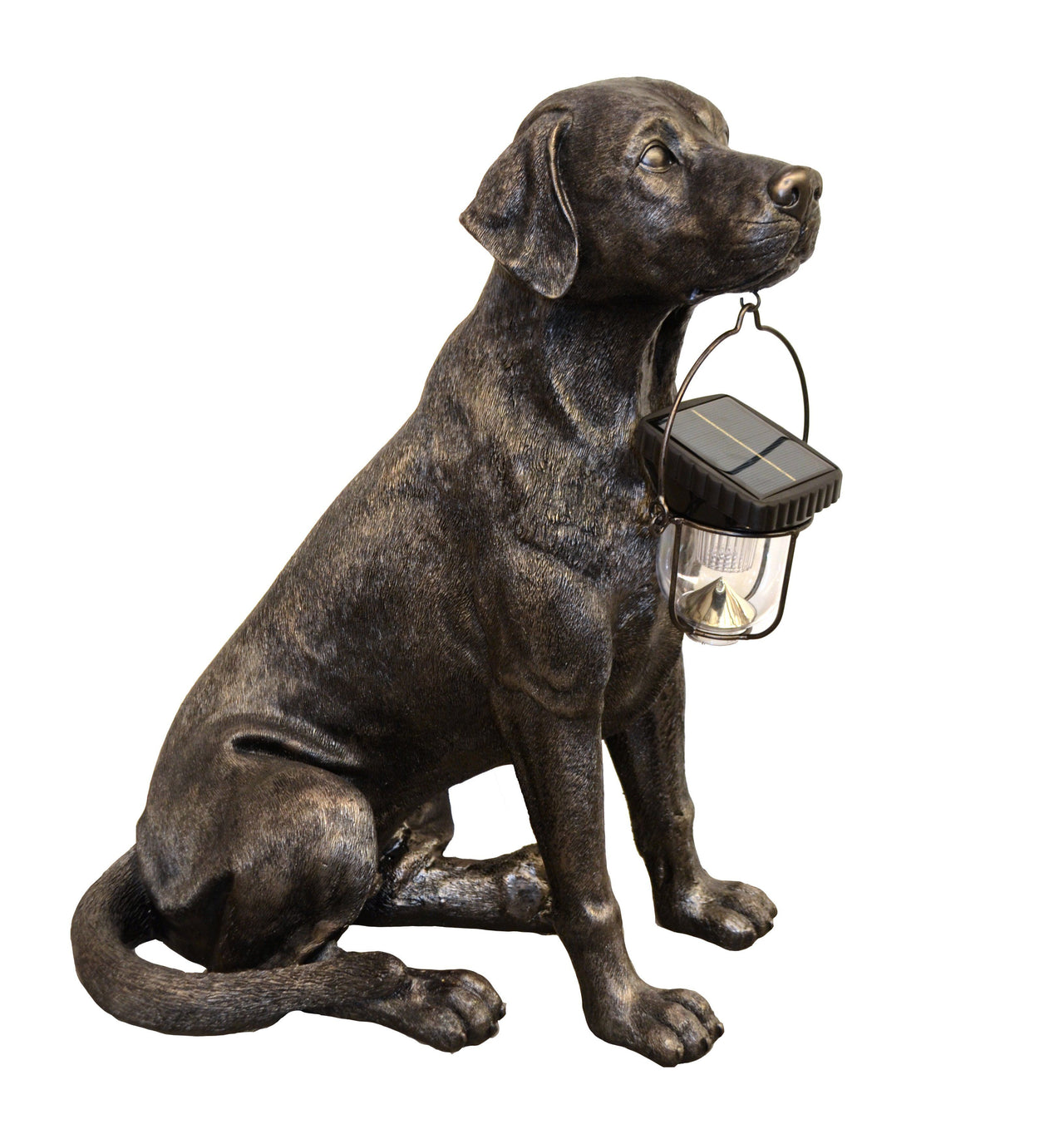 AFD Labradorr with Solar Light Lighting AFD Bronze 