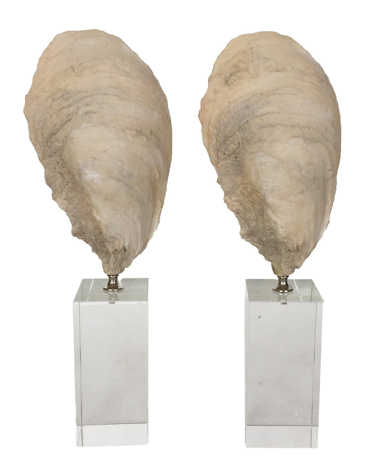 AFD Set of 2 Poly Clam On Crystal Base Décor AFD White 