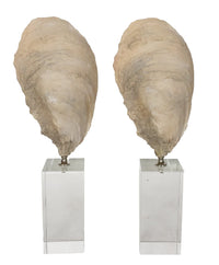 Thumbnail for AFD Set of 2 Poly Clam On Crystal Base Décor AFD White 