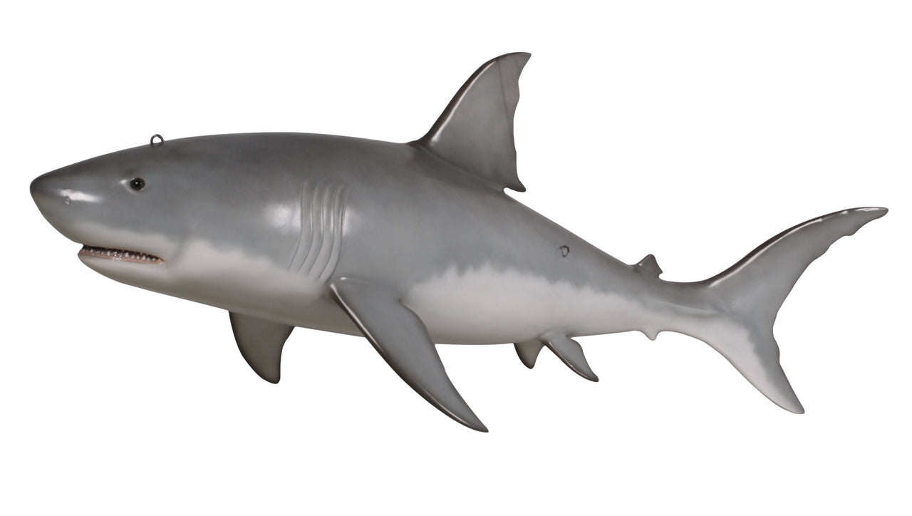AFD Great White Shark 6ft Statuary AFD Blue/Silver 