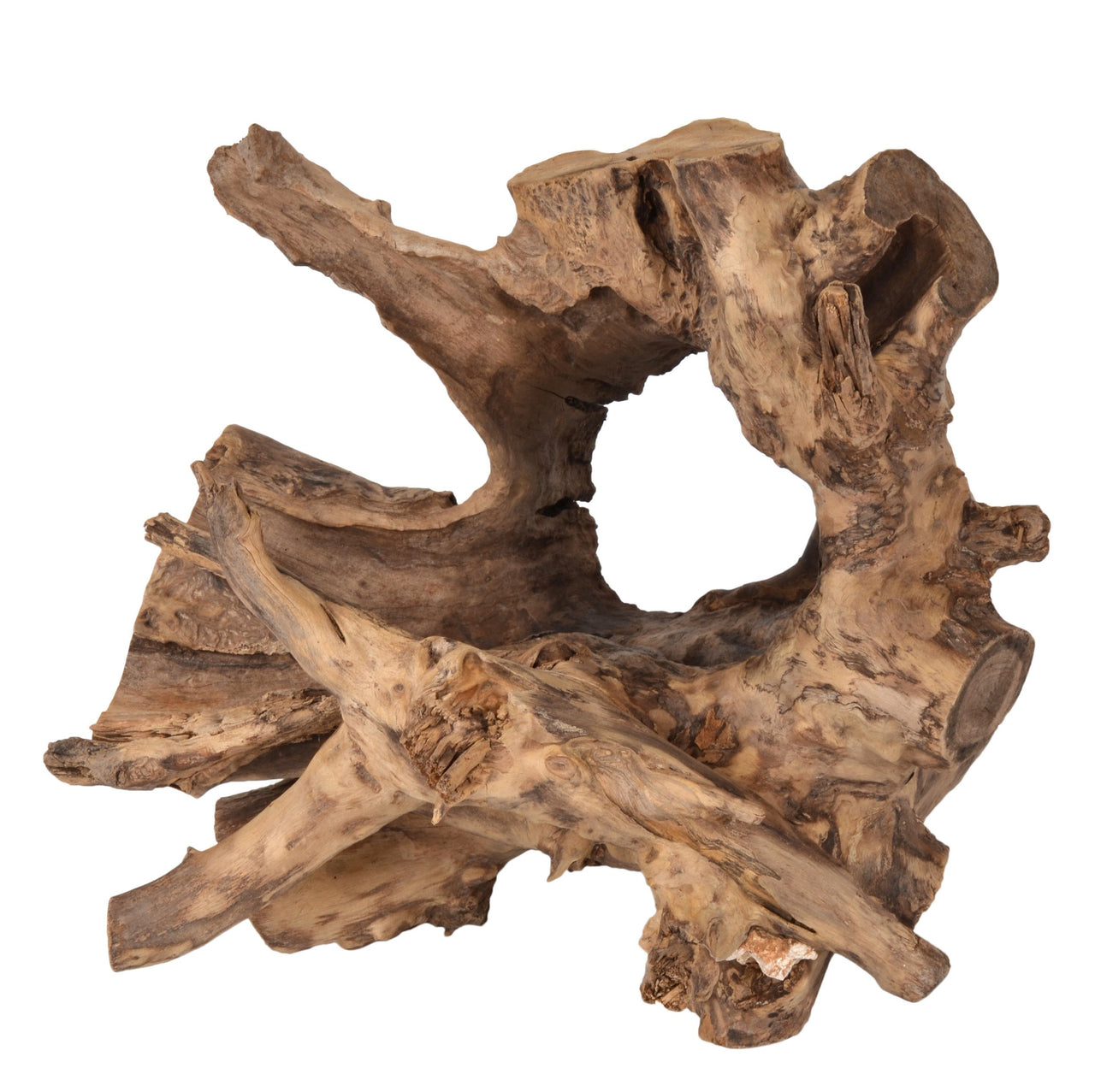 AFD Random Teak Forest Specimens Planters Bases Urns AFD Natural 