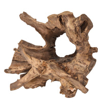 Thumbnail for AFD Random Teak Forest Specimens Planters Bases Urns AFD Natural 