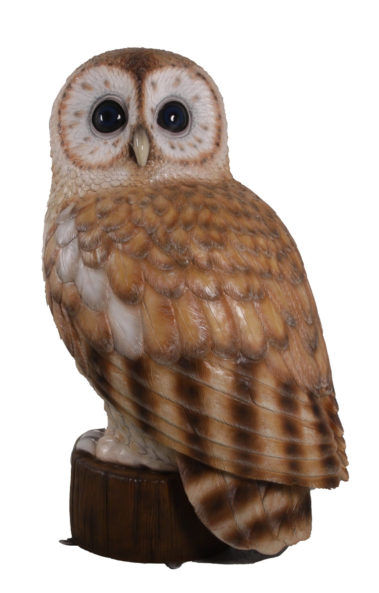 AFD Tawny Owl 5ft Statuary AFD Multicolor 