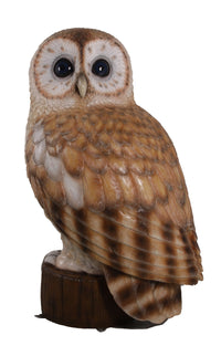 Thumbnail for AFD Tawny Owl 5ft Statuary AFD Multicolor 