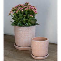Thumbnail for Campania International Marguerite Small Round Planter Urn/Planter Campania International Shell Pink 