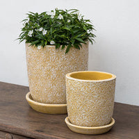 Thumbnail for Campania International Marguerite Small Round Planter Urn/Planter Campania International Etched Yellow 