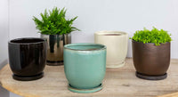 Thumbnail for Campania International Glazed Pottery I/O Series Cup Planter-(S/6) Urn/Planter Campania International Seafoam Tall 