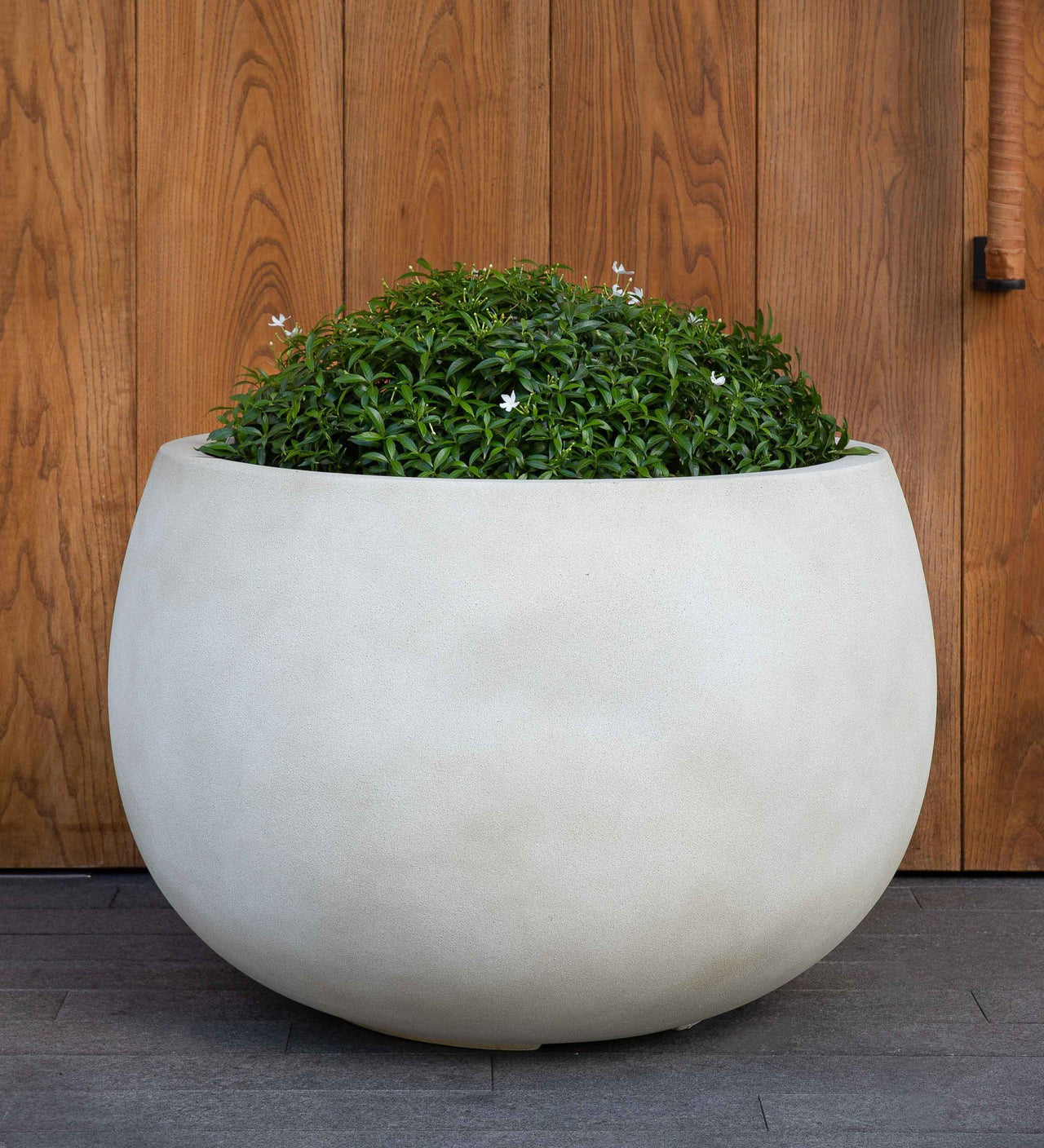 Campania International Fiber Clay Norfolk Planter - S/3 Urn/Planter Campania International Ivory Lite Large 