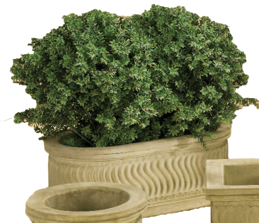 Scroll Planter Cast Stone Outdoor Garden Planter Planter Tuscan 