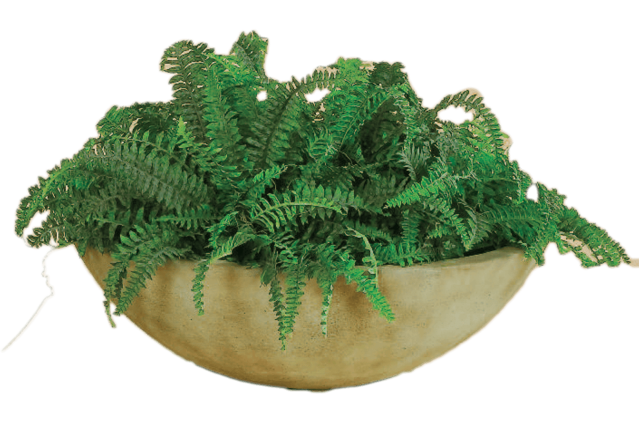 Shallow Bowl Cast Stone Outdoor Garden Planter Planter Tuscan 
