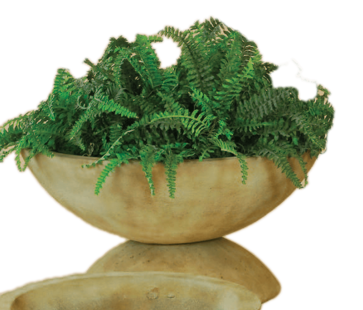 Shallow Bowl with Base Cast Stone Outdoor Garden Planter Planter Tuscan 