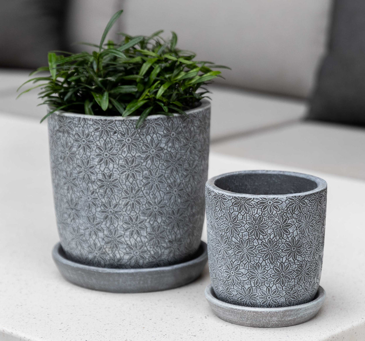 Campania International Marguerite Small Round Planter Urn/Planter Campania International Etched Grey 