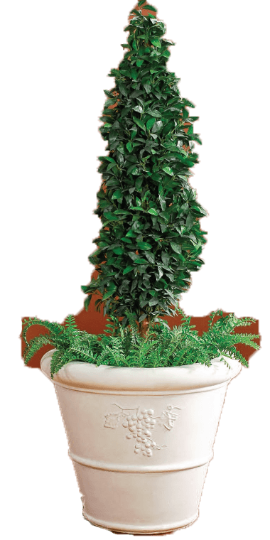 Vineyard Tree Planter Cast Stone Outdoor Asian Collection Statues Tuscan 