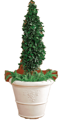 Thumbnail for Vineyard Tree Planter Cast Stone Outdoor Asian Collection Statues Tuscan 