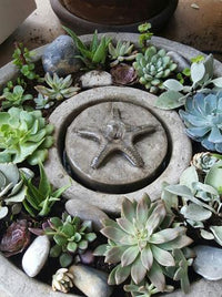 Thumbnail for Starfish Vera Fountain, Small Fountain Fiore Stone 