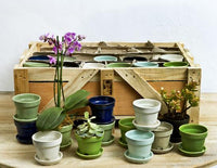Thumbnail for Campania International Glazed Terra cotta Garden Terrace Crate of 48 Urn/Planter Campania International 