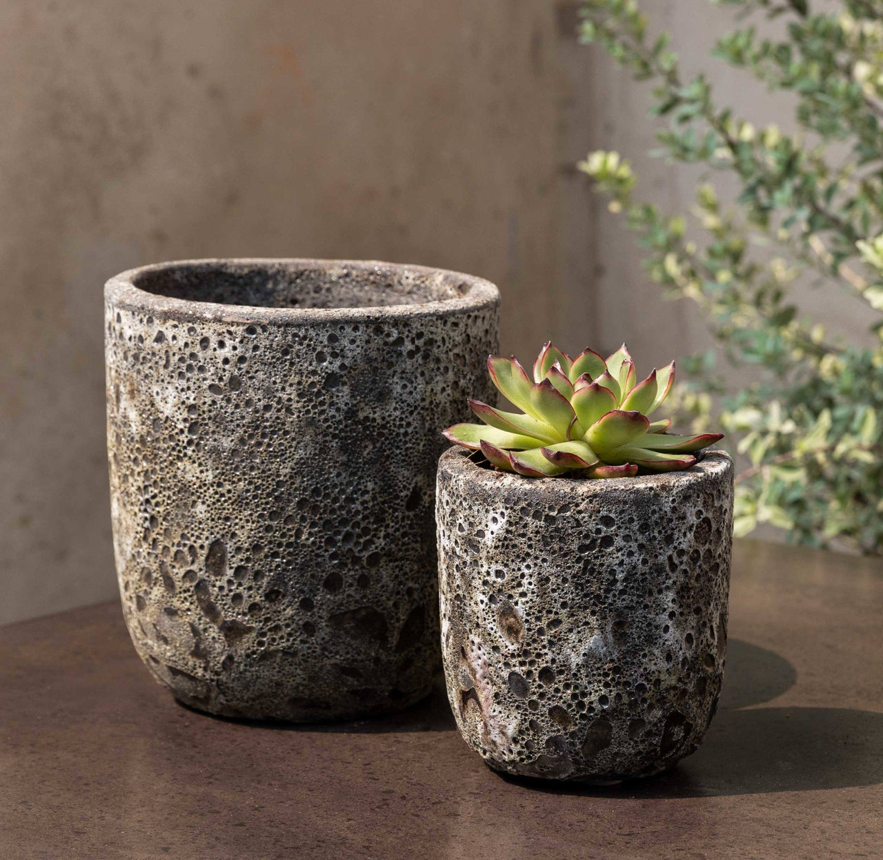 Campania International Glazed Pottery Dao Planter-S/8 Urn/Planter Campania International Fossil Grey 