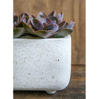Thumbnail for Campania International Fiber Cement Geo Footed Planter - Terrazzo - (S/4) Urn/Planter Campania International 