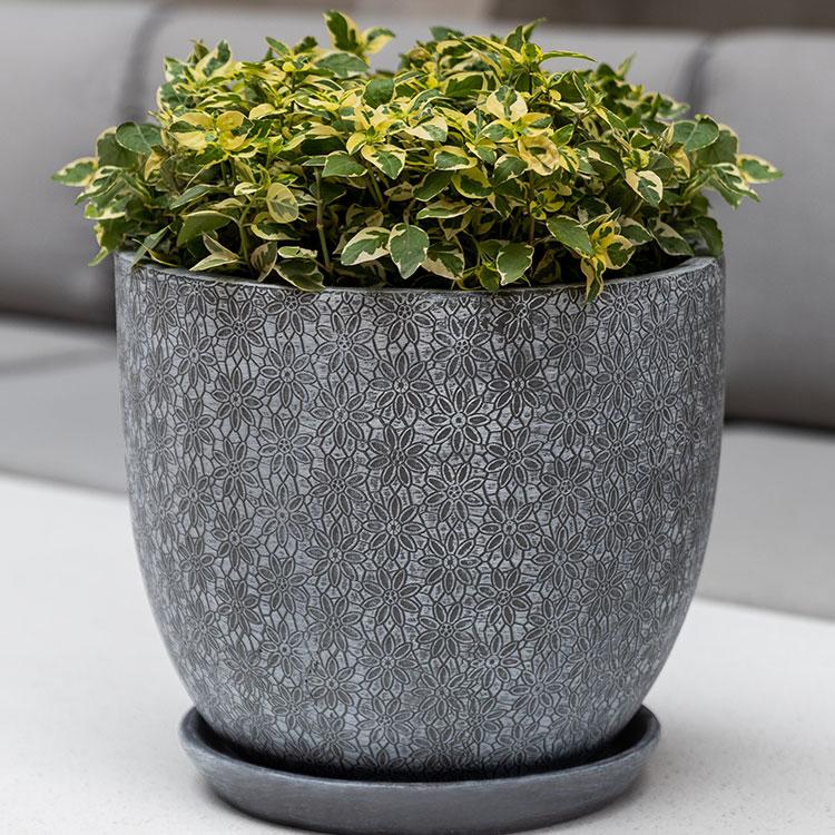 Campania International Marguerite Tapered Planter Urn/Planter Campania International Etched Grey Short 