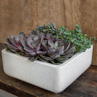 Thumbnail for Campania International Fiber Cement Geo Footed Planter - Terrazzo - (S/4) Urn/Planter Campania International Square 