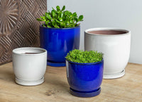 Thumbnail for Campania International Glazed Pottery I/O Series Cups Planter - Blue & White - S/6 Urn/Planter Campania International White Tall 