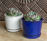 Thumbnail for Campania International Glazed Pottery I/O Series Cups Planter - Blue & White - S/6 Urn/Planter Campania International White Low 