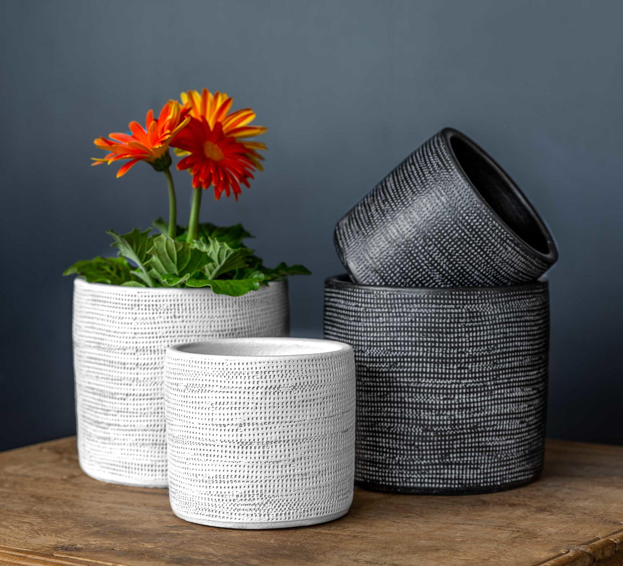 Campania International Linen Weave Cylinder - Black and White Mix - S/8 Urn/Planter Campania International 